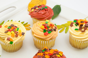 Cupcakes with autumn decoration