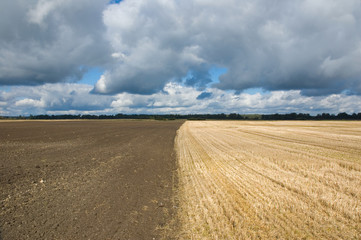 Stubble and plowed field
