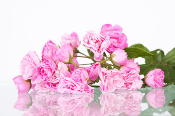 Fototapeta premium Bouquet of pink roses isolated on white