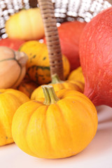 abundance of pumpkin