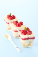 Panna Cotta With Raspberry