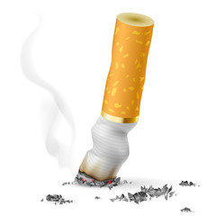 Realistic cigarette butt © Dvarg
