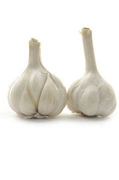 Pair of garlic on white
