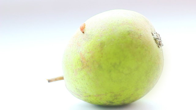 A caterpillar crossing the pear
