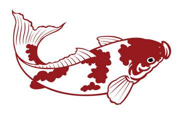 carp fish