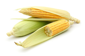 fresh corns