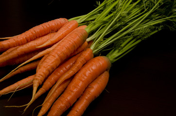 Fresh garden carrots