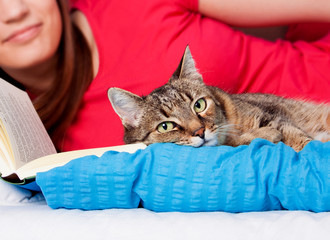 bedtime 21/cat is relaxing in bed