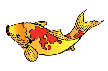 carp fish