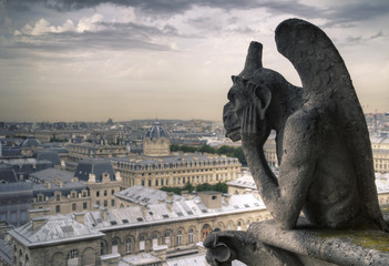Fototapeta na wymiar Famous Notre Dame Gargoyle