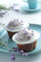 Cupcakes with frosting