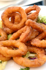 fried calamari  rings on a white plate