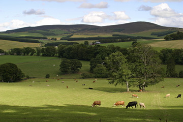 Beautiful Landscape of Scotland - 45274834