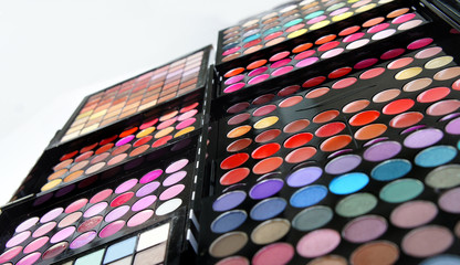 Professional cosmetic palette