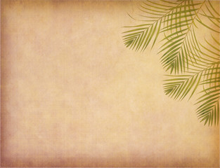 old paper background with palm leaf