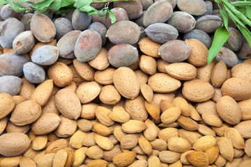almendras