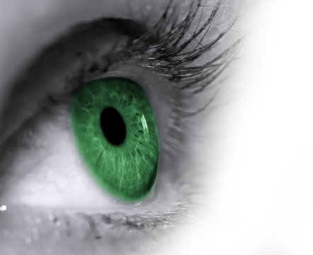 Auge grün