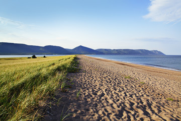 Fototapeta premium sandstrand