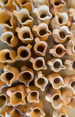 Clay pots