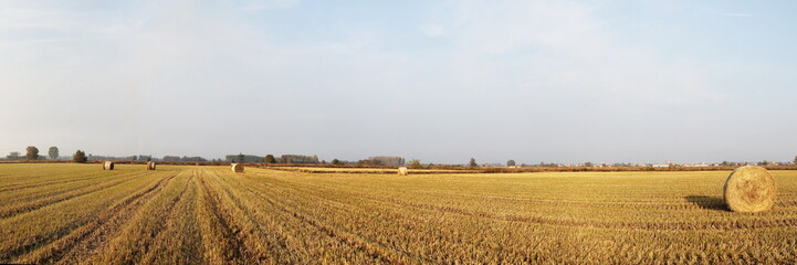 countryside after harvest during autumn season