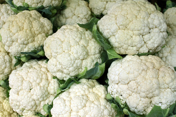 Blumenkohl