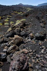 Obraz premium La Palma volcanic lava black stones