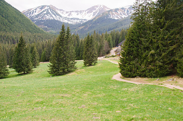 Obraz premium Zakopane Dolina Chochołowska