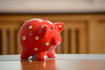 Sparschwein