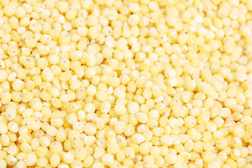 Pilled millet seeds as texture