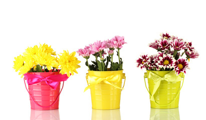 beautiful bouquet of chrysanthemums in a bright colorful