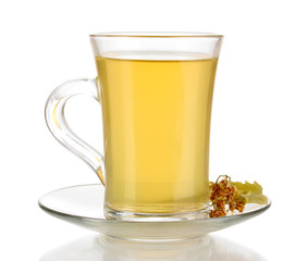 Glass cup of tea with linden isolated on white