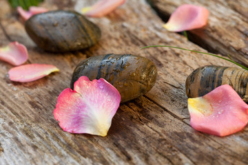 flower petals. spa concept