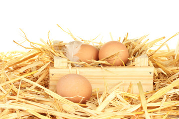 brown eggs in a wooden box on straw on white background
