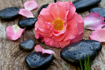 Obraz na płótnie Canvas pink flowers with zen pebbles. spa concept
