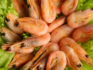 Boiled shrimps with lettuce leaves, close up