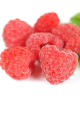 fresh raspberry