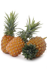 Ripe pineapple fruits