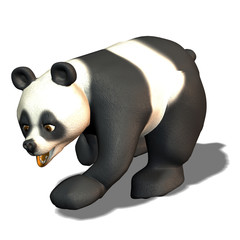 Panda Bär laufen © JuliSonne