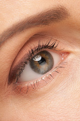 Fototapeta premium Woman eye with make-up