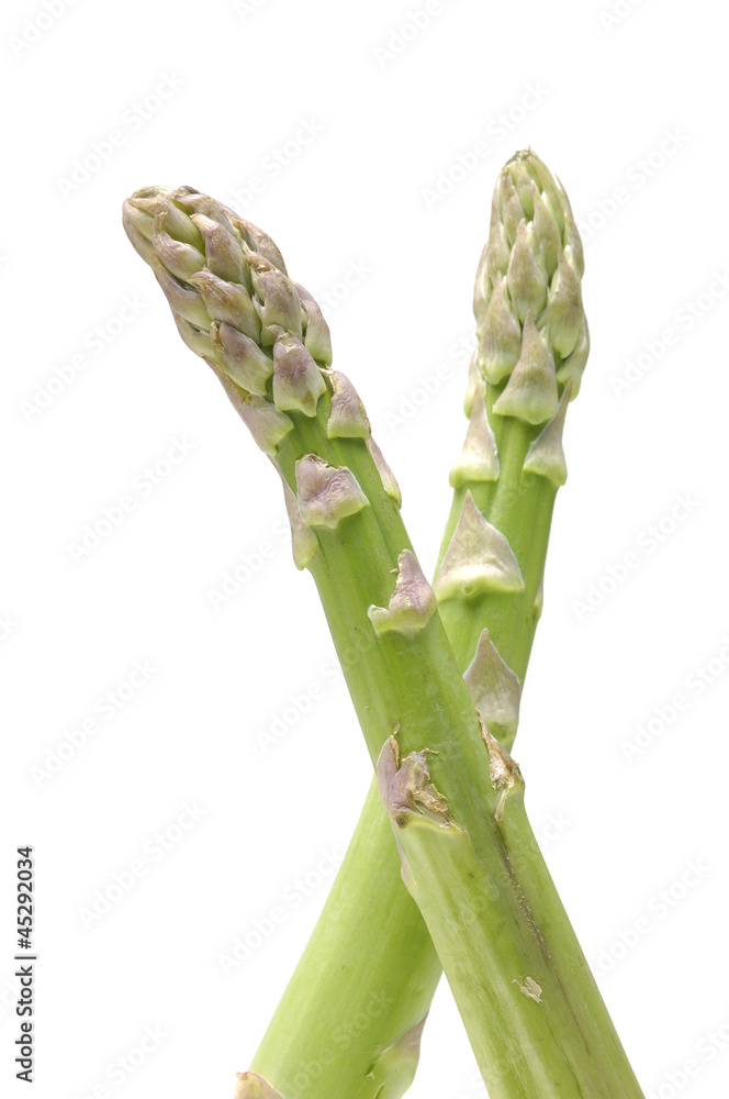 Canvas Prints Pair of fresh asparagus