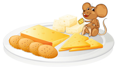biscuits, cheese and mouse