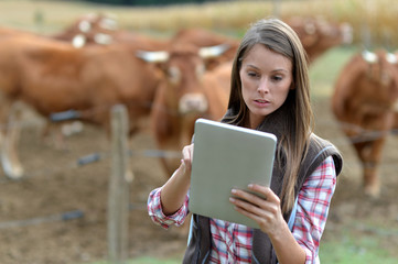 Woman farmer in front of cattle using tablet