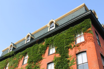 City building overgrown with green plants