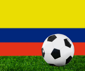 Fototapeta premium The Colombian flag