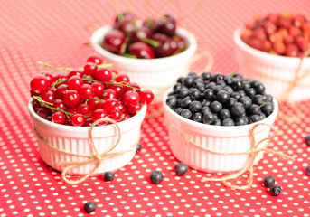 Wild berries in bowls