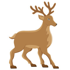 deer vector illustration