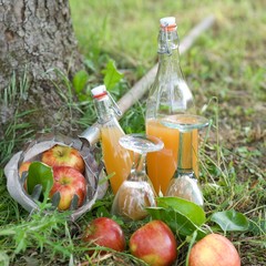 Erntezeit