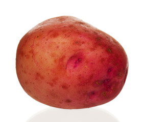New potato