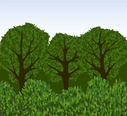 Forest or park with trees and bushes