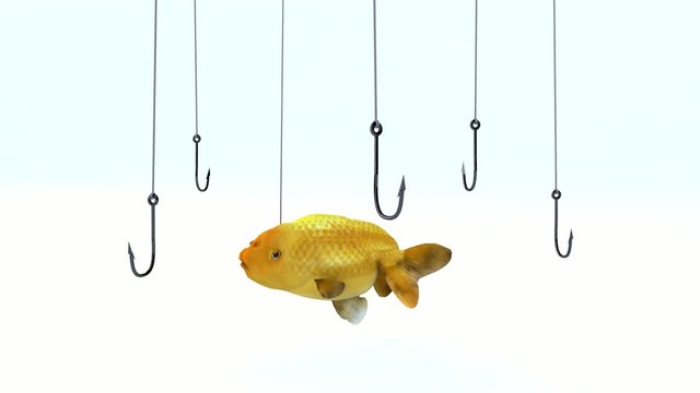 pesce rosso che nuota in mezzo agli ami da pesca